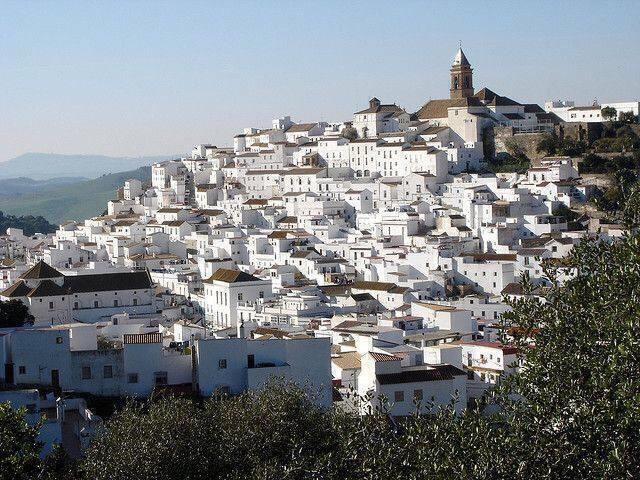 Feria Alcalá de los Gazules 2026: fechas 27–30 agosto