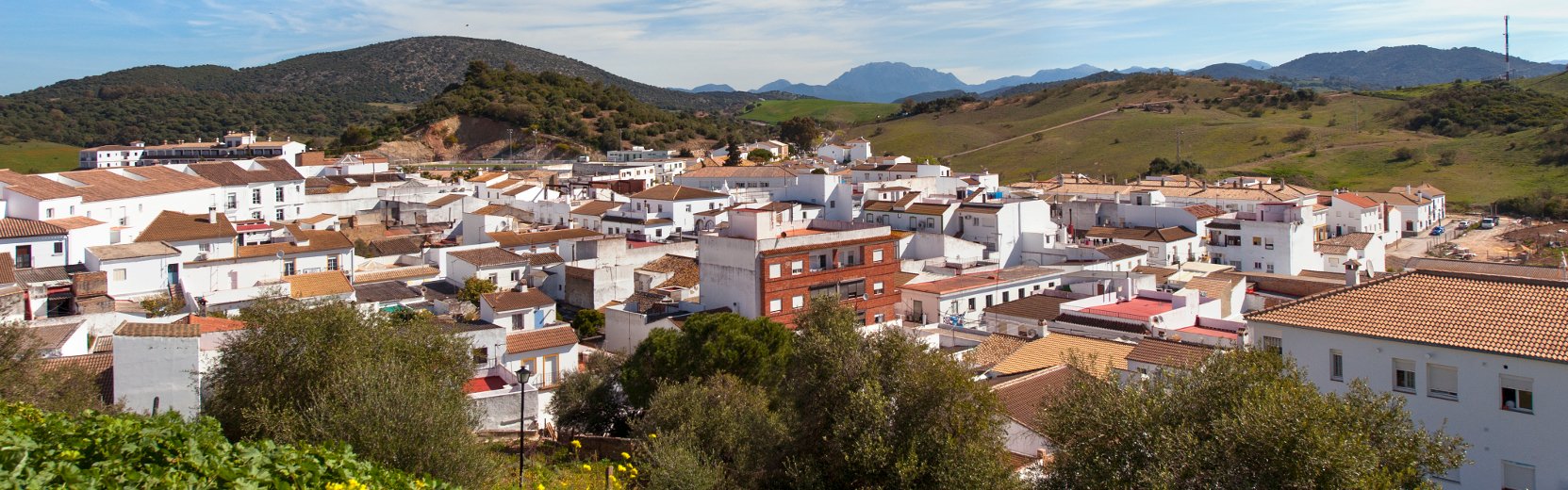 Fiestas Patronales Algar 2026: Guadalupe 3–6 septiembre
